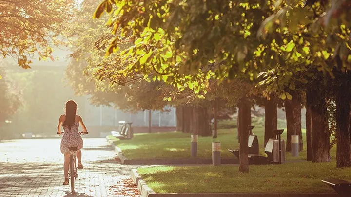 A Natureza e Seus Benefícios para a Sua Saúde Mental