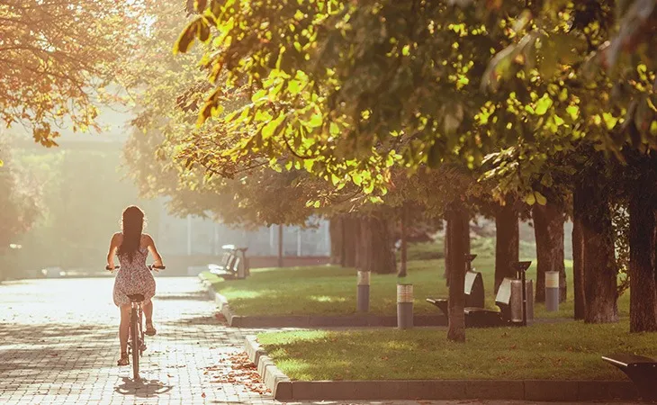 A Natureza e Seus Benefícios para a Sua Saúde Mental