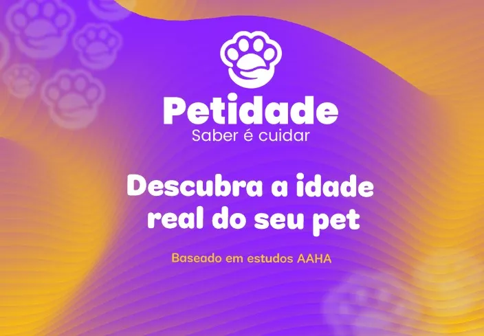 Descubra a idade real do seu pet
